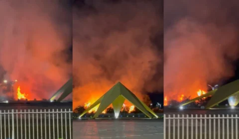 Incêndio em vegetação atinge patrimônio público no Centro de Boa Vista
