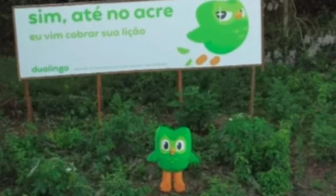 Mascote do Duolingo chega ao Acre e conhece cultura, gastronomia e participa de dança no Palácio Rio Branco