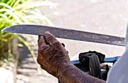 Tio e sobrinho brigam por terra no Amazonas e trocam golpes de terçado