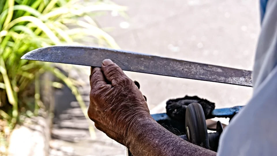 Tio e sobrinho brigam por terra no Amazonas e trocam golpes de terçado
