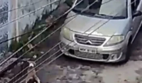 VÍDEO: motorista atropela cachorro em Manaus e debocha de acidente, segundo tutora