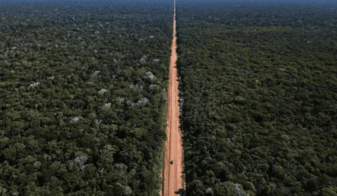 Congresso rejeita veto e facilita obras de manutenção na BR-319