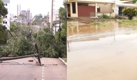 VÍDEO: Forte chuva deixa moradores ilhados e provoca queda de árvore na capital; confira a reportagem