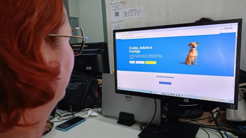 Porto Velho lança plataforma digital para proteger e identificar animais