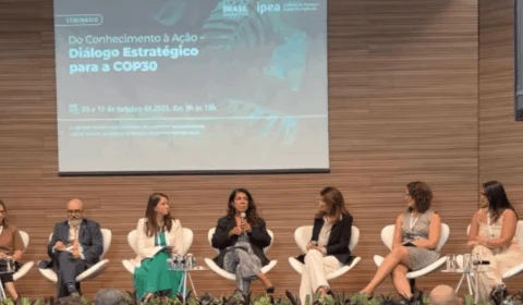 Especialistas e governo discutem desafios da ação climática em preparação para a COP30
