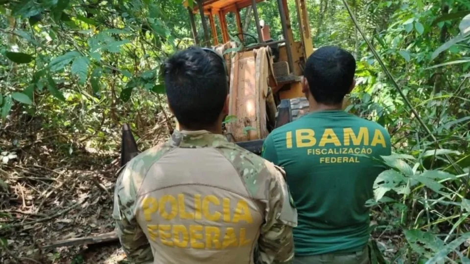 Polícia Federal e Ibama desativam serrarias ilegais em terra indígena de Rondônia