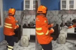 VÍDEO: cobra surucucu é encontrada em cozinha no interior do Acre e mobiliza Bombeiros