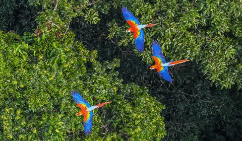 Acre será beneficiado com recursos em programa para recuperar áreas degradadas em assentamentos rurais