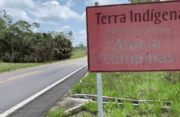 MPF instaura procedimento para garantir retirada de invasores de terra indígena no Acre