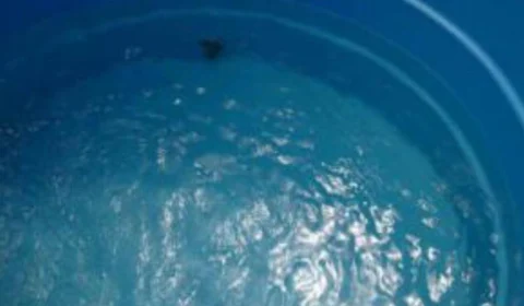 Criança de 3 anos se afoga em caixa d’água e é internada em estado grave em Porto Velho