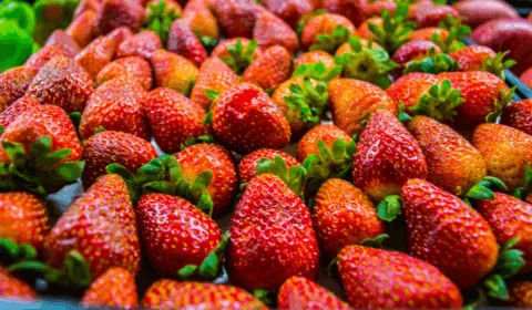 Morangos mais baratos e frescos devem chegar ao mercado acreano após acordo com o Peru