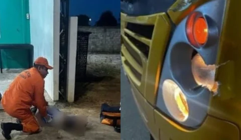 Motociclista se fere ao colidir com ônibus escolar em Rorainópolis