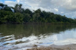 Mutirão ‘Nossos Rios Sem Plástico’ marca comemoração dos 36 anos da UFRR