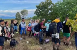 PMRR encontra 23 migrantes cubanos escondidos em área de mata na BR-401