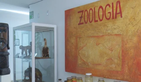 Acervo do Museu Integrado de Roraima é preservado no Parque Anauá