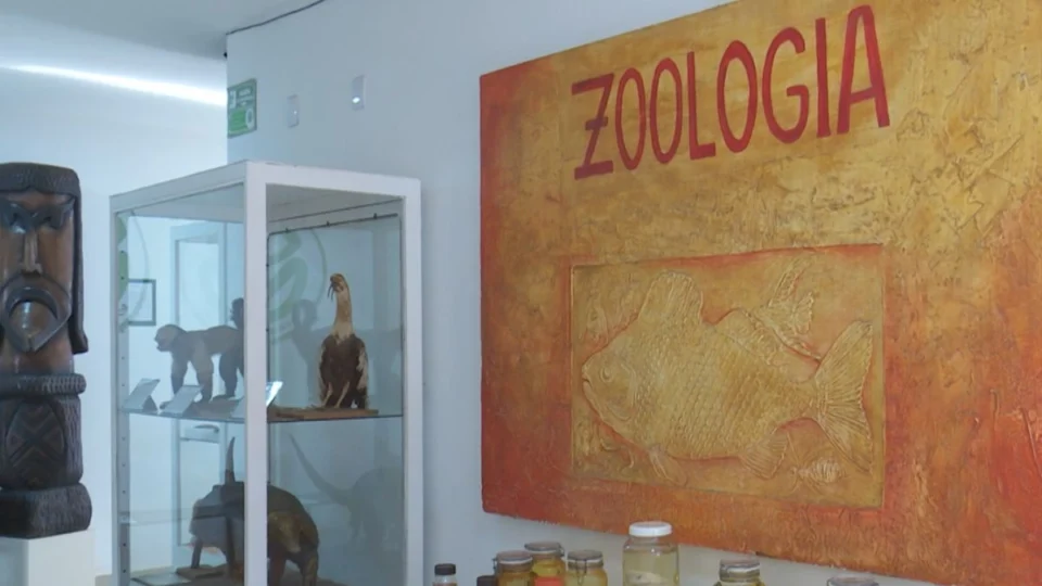 Acervo do Museu Integrado de Roraima é preservado no Parque Anauá