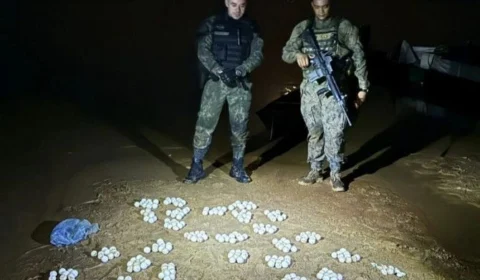PM do Tocantins resgata tartarugas e mais de 500 ovos transportados ilegalmente no Rio Araguaia