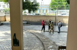 Onça-parda é vista no Centro de Boa Vista e provoca interdição de ruas