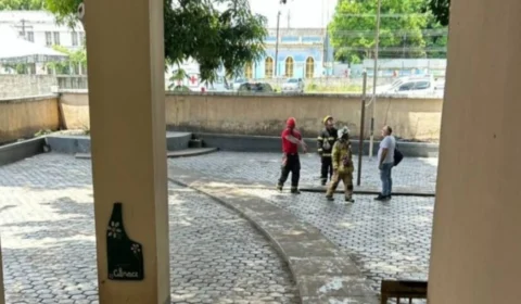 Onça-parda é vista no Centro de Boa Vista e provoca interdição de ruas