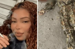 REVIRAVOLTA: corpo encontrado com tiro de fuzil não é de ‘Penélope’, diz PC