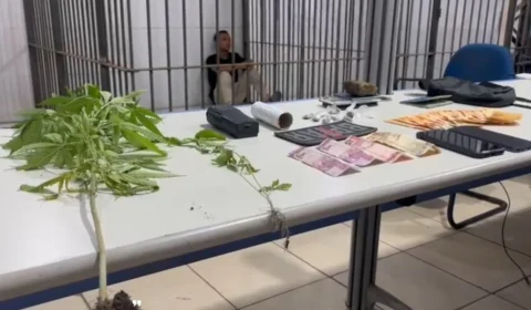 VÍDEO: Polícia prende “Vitinho do CV” com mudas de maconha na zona Leste de Porto Velho