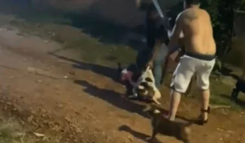 VÍDEO: Criança de 5 anos fica gravemente ferida após ataque de pitbull em Porto Velho