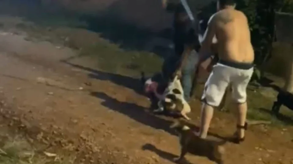 VÍDEO: Criança de 5 anos fica gravemente ferida após ataque de pitbull em Porto Velho