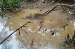 Corpo em decomposição é encontrado em matagal no bairro Aponiã em Porto Velho