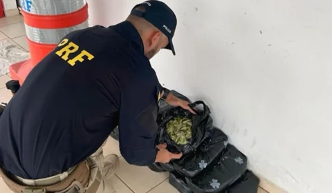 Polícia Rodoviária Federal apreende quase 8 quilos de folha de coca em caminhão no Acre