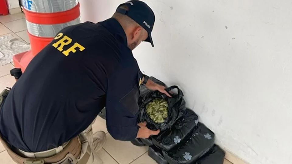 Polícia Rodoviária Federal apreende quase 8 quilos de folha de coca em caminhão no Acre