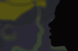 Tese compara Brasília a Johanesburgo e questiona: ‘planejada para quem?’