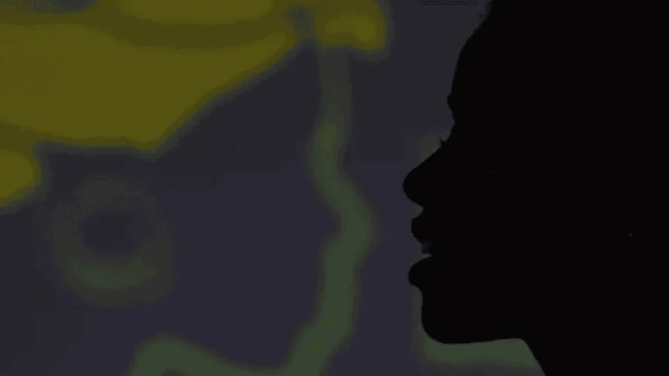 Tese compara Brasília a Johanesburgo e questiona: ‘planejada para quem?’