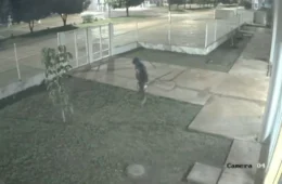 VÍDEO: Criminosos furtam fiação de colégios municipais e deixam estudantes sem aula em Vilhena