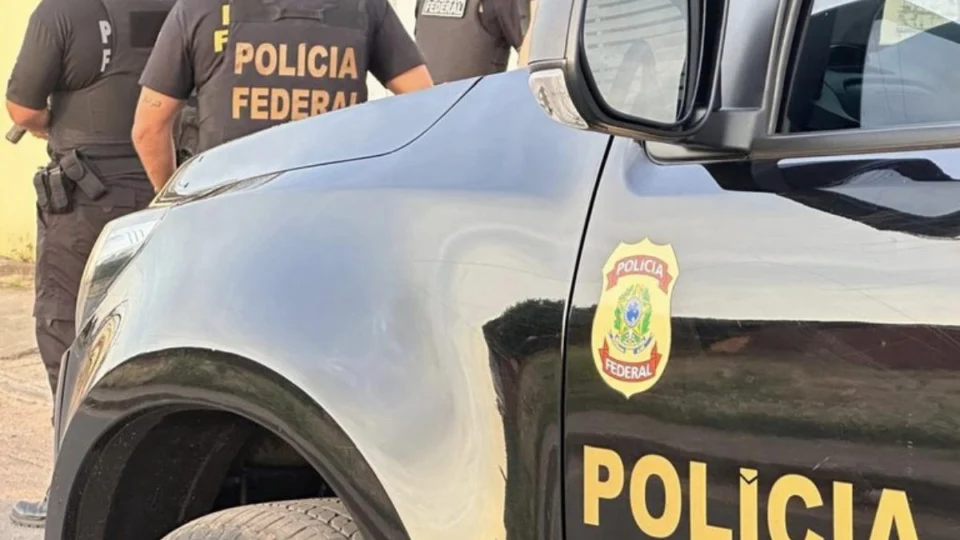 Operação Natova mira grupo que explorava madeira ilegal em Espigão e Cacoal