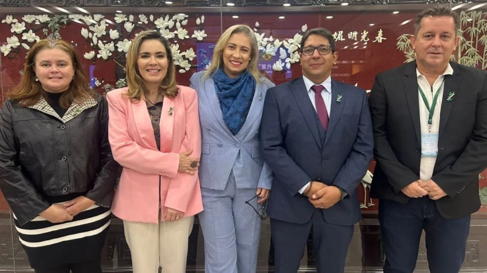 Acreanos voltam da China com especialização em bambu