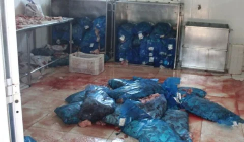 Técnico de indústria é condenado por comercializar carne imprópria destinada a escolas do Acre