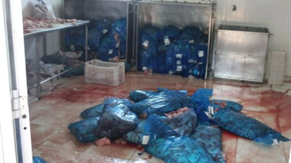 Técnico de indústria é condenado por comercializar carne imprópria destinada a escolas do Acre