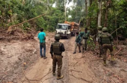 Forças brasileiras ampliam ofensiva contra crimes ambientais na fronteira