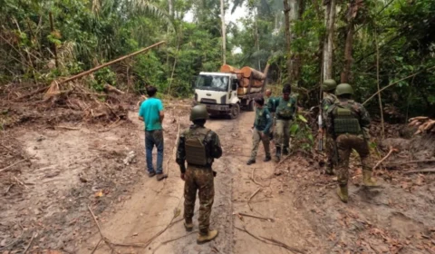 Forças brasileiras ampliam ofensiva contra crimes ambientais na fronteira