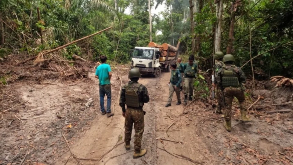 Forças brasileiras ampliam ofensiva contra crimes ambientais na fronteira
