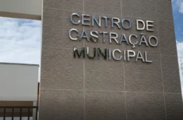 VÍDEO: Centro de Castração de Vilhena segue fechado e sofre possível furto de fiação