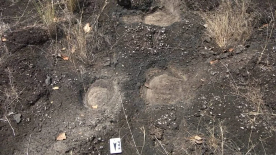 Pegadas de dinossauros são identificadas em Roraima e podem ter 110 milhões de anos