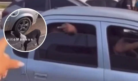 VÍDEO: Cachorro persegue carro após possível abandono e moradora confronta motorista em Manaus