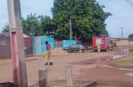 Enxame de abelhas assusta moradores no bairro Senador Hélio Campos