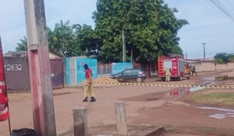 Enxame de abelhas assusta moradores no bairro Senador Hélio Campos