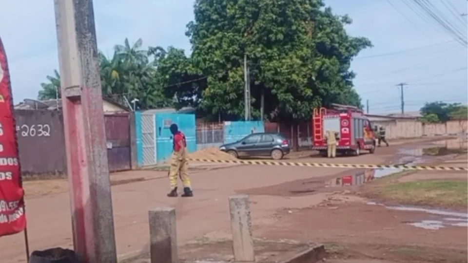 Enxame de abelhas assusta moradores no bairro Senador Hélio Campos
