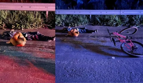 Leal até o fim: cachorro não abandona tutor após morte em acidente no Acre