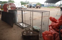 VÍDEO: Ecobueiros são instalados para reduzir transtornos das chuvas em bairros críticos de Porto Velho