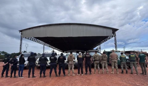 VÍDEO: PF, PMRO e IBAMA desarticulam esquema de madeira ilegal e fecham madeireiras em Nova Mamoré