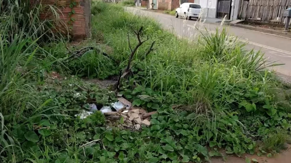 VÍDEO: Terreno baldio causa preocupação a moradores do Mariana, que relatam assaltos e temem novos crimes em Porto Velho